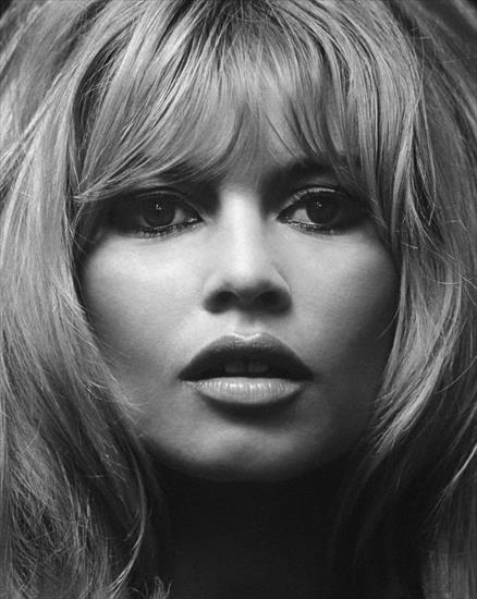 Brigitte Bardot - FwuRQ2iacAI7oZu.jpg